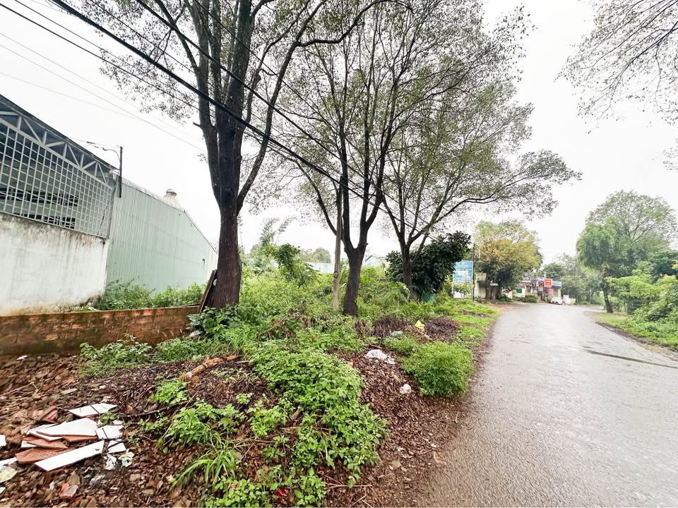 Đất mặt tiền Phạm Ngọc Thạch, Pleiku 264m² giá 2.8 tỷ - Cơ hội đầu tư hấp dẫn!