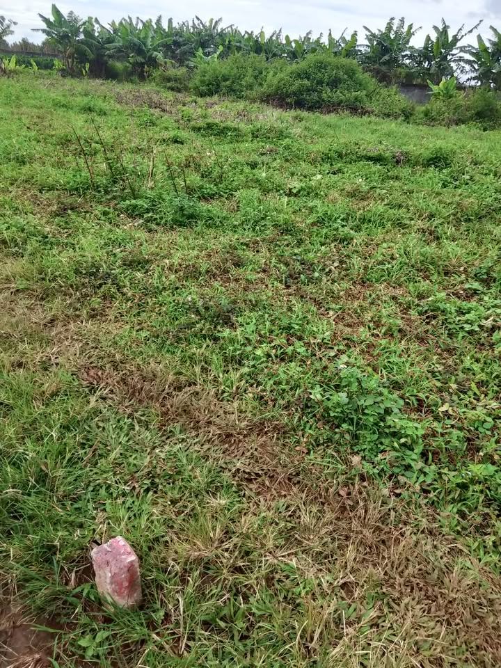 Đất nền Yên Thế, Pleiku 285m² - Sổ đỏ chính chủ, giá thỏa thuận!