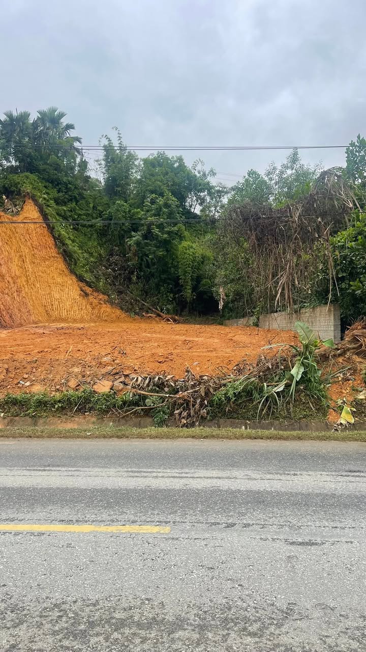 Đất nền tại Bắc Quang, Hà Giang 443m² - Vị trí đẹp gần trường LTV cũ!