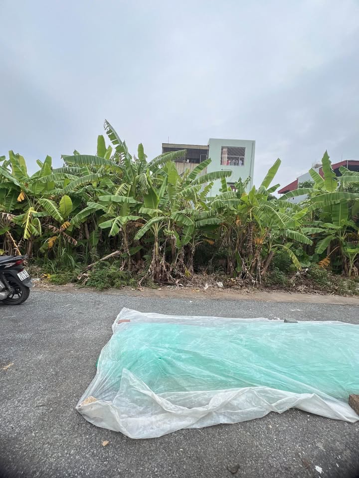 Nhà bán gấp tại Thị trấn Kiến Xương Thái Bình 70m² - Ô tô vào tận nơi!