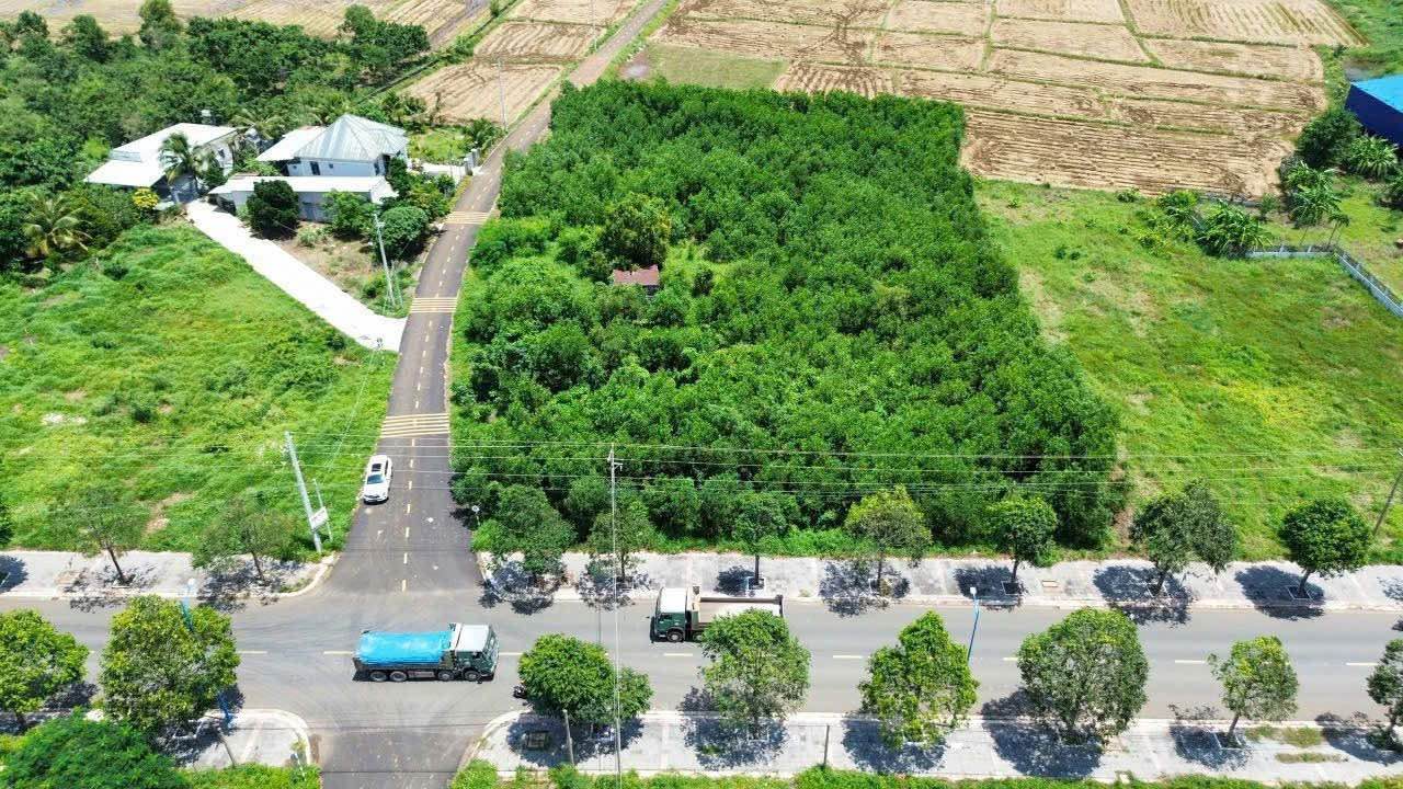 Đất nền Long Tân Đất Đỏ 165m² - Mặt tiền kinh doanh sầm uất, giá thỏa thuận!