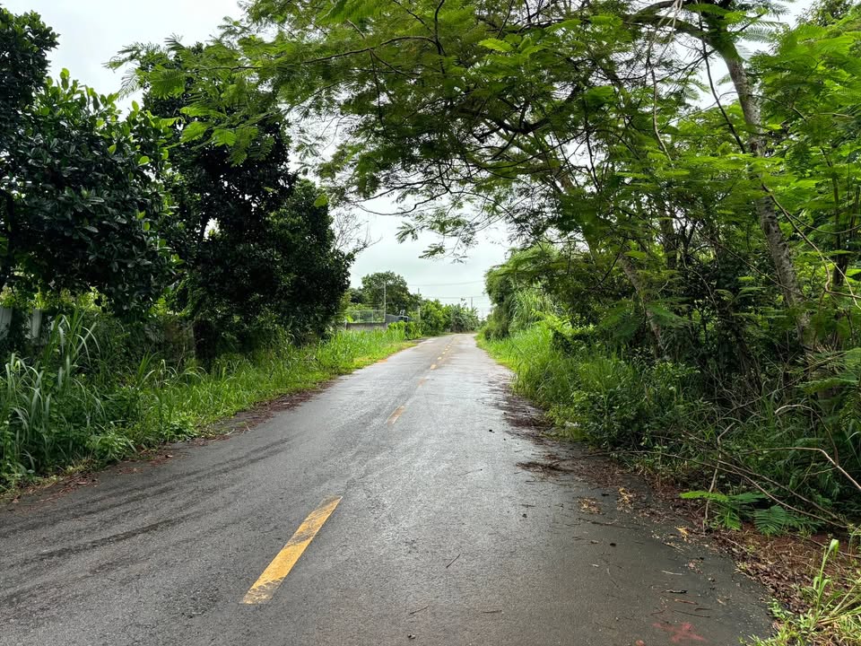 Đất nền Phường Tam Long, Bà Rịa - 2195m² chỉ 1.5 tỷ - Đầu tư sinh lời!