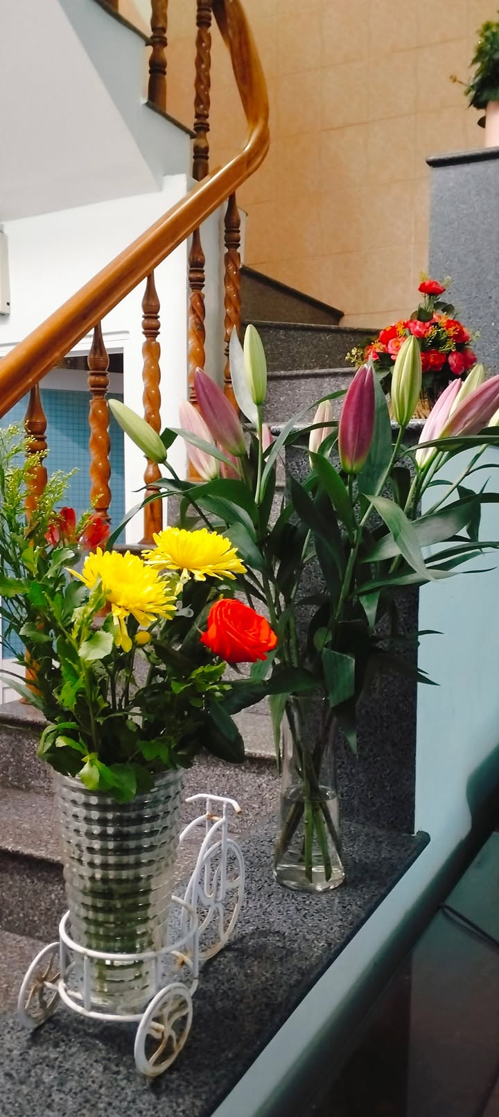 Phòng cho thuê tại đường Nguyễn Thiện Thuật, Nha Trang - Giá cả thỏa thuận, tiết kiệm chi phí!