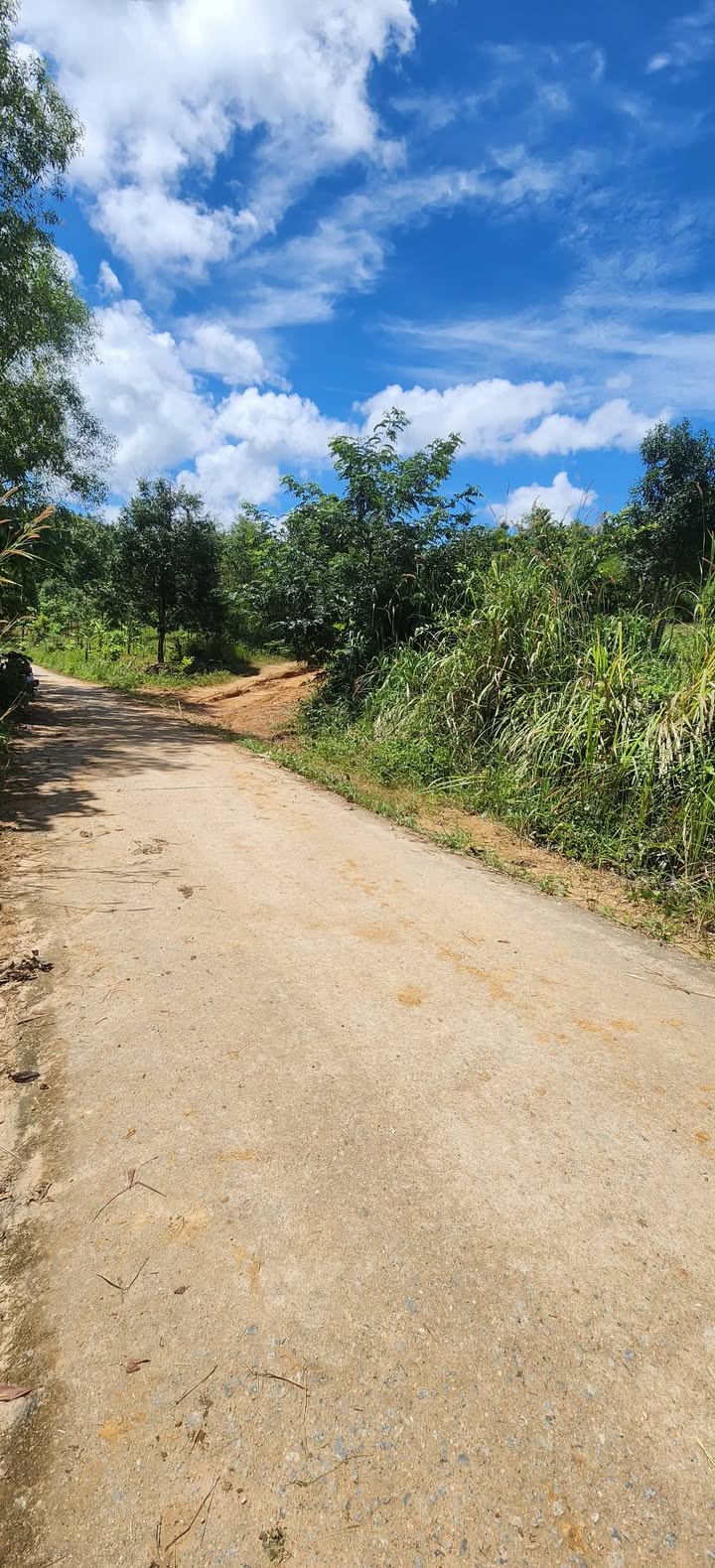 Đất nền Đăk Rơ Wa Kon Tum 100m² - Vị trí đẹp, giá thỏa thuận!