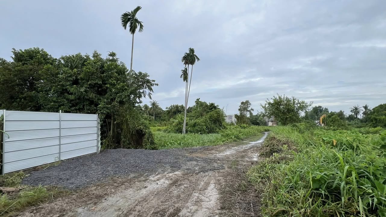 Nhà vườn Củ Chi 1000m² giá thỏa thuận - Cơ hội đầu tư tuyệt vời!