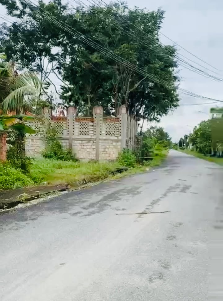 Đất thổ cư Phú Mỹ 1200m² giá 4.2 tỷ - Đầu tư tiềm năng ngay hôm nay!