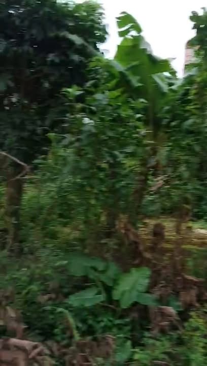 Đất nền 90m² tại phường Trung Sơn, Tam Điệp - Giá chỉ 1 tỷ VND!