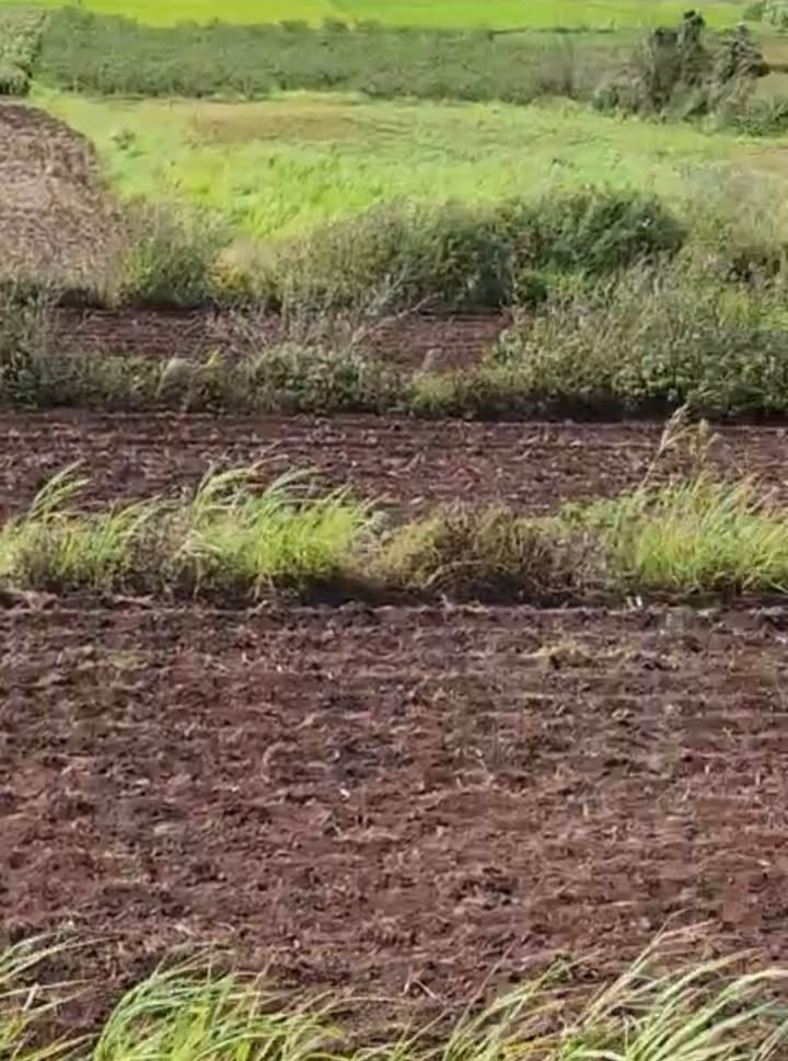 Đất nền Đạ Ròn, Đơn Dương, Lâm Đồng 4,7 sào giá 2,2 tỷ - Đầu tư sinh lời ngay!