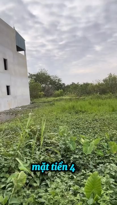 Đất đấu giá Dũng Tiến, Thường Tín 121m² giá 4.65 tỷ - Cơ hội đầu tư hấp dẫn!