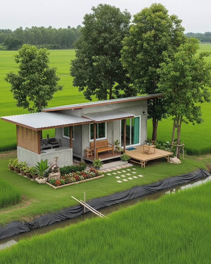 Đất vườn Thái Mỹ, Củ Chi 480m² giá 1 tỷ - Tiềm năng đầu tư lớn!