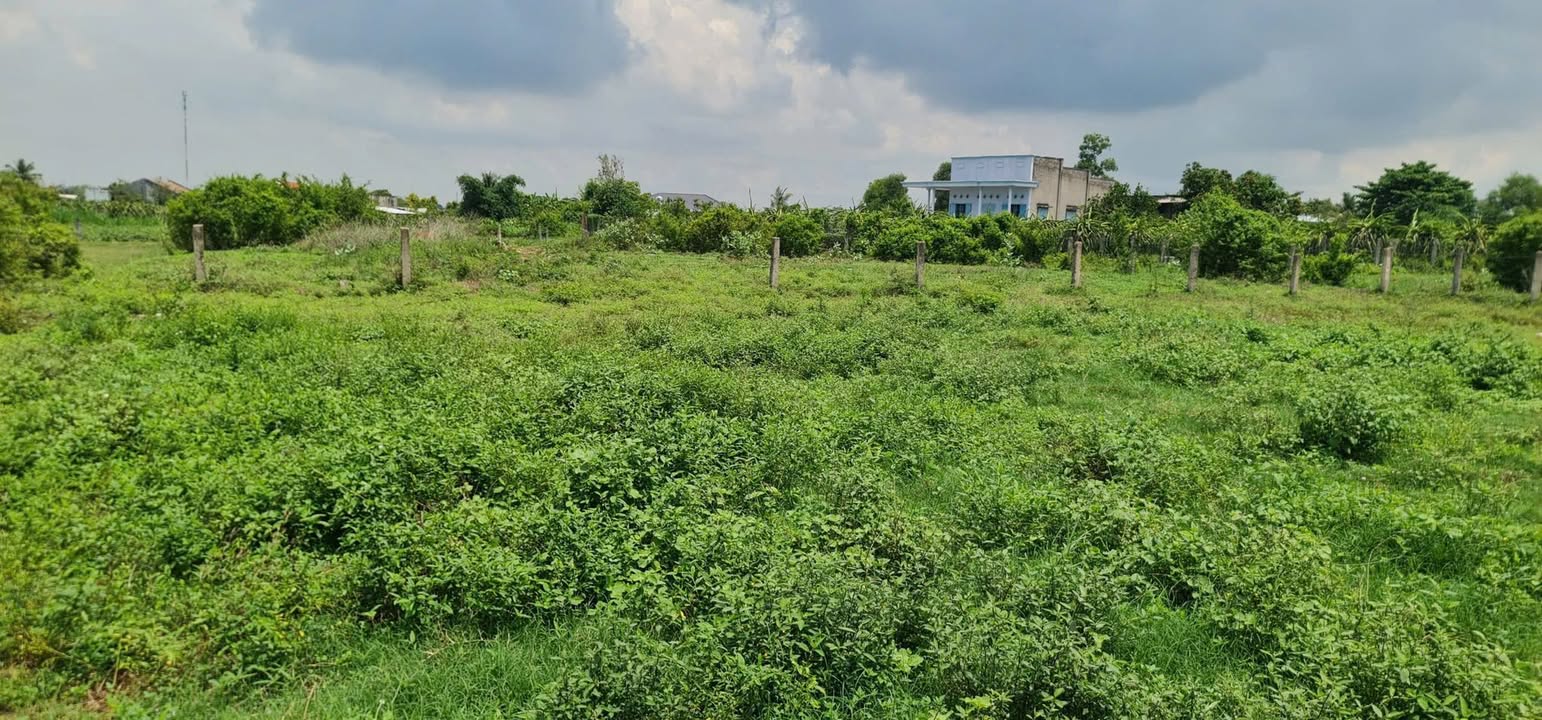 Đất thổ cư Thôn Thuận Thành, Hàm Liêm 976m² giá 750 triệu - Cơ hội vàng đầu tư!