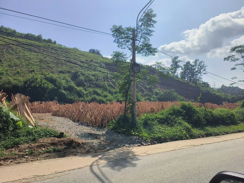 Đất trồng cây lâu năm 1600m² mặt đường Quốc lộ 3 - Cơ hội đầu tư tuyệt vời!