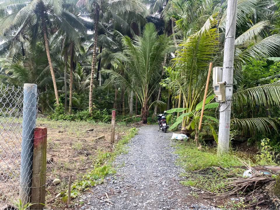 Đất nền Ấp Nhơn Hoà, Chợ Gạo 330m² giá 200 triệu - Sổ đỏ sang tên ngay!