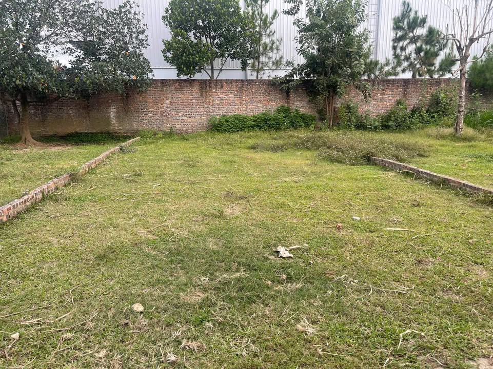 Đất nền Minh Phú, Sóc Sơn 100m² chỉ 1.2 tỷ - Sổ đỏ chính chủ, giá rẻ nhất Hà Nội!