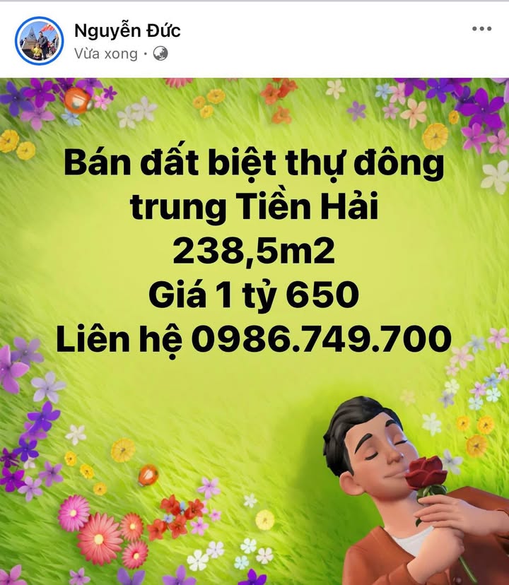 Đất Biệt Thự Đông Trung Tiền Hải 238.5m² giá 1.65 tỷ - Cơ hội đầu tư tuyệt vời!