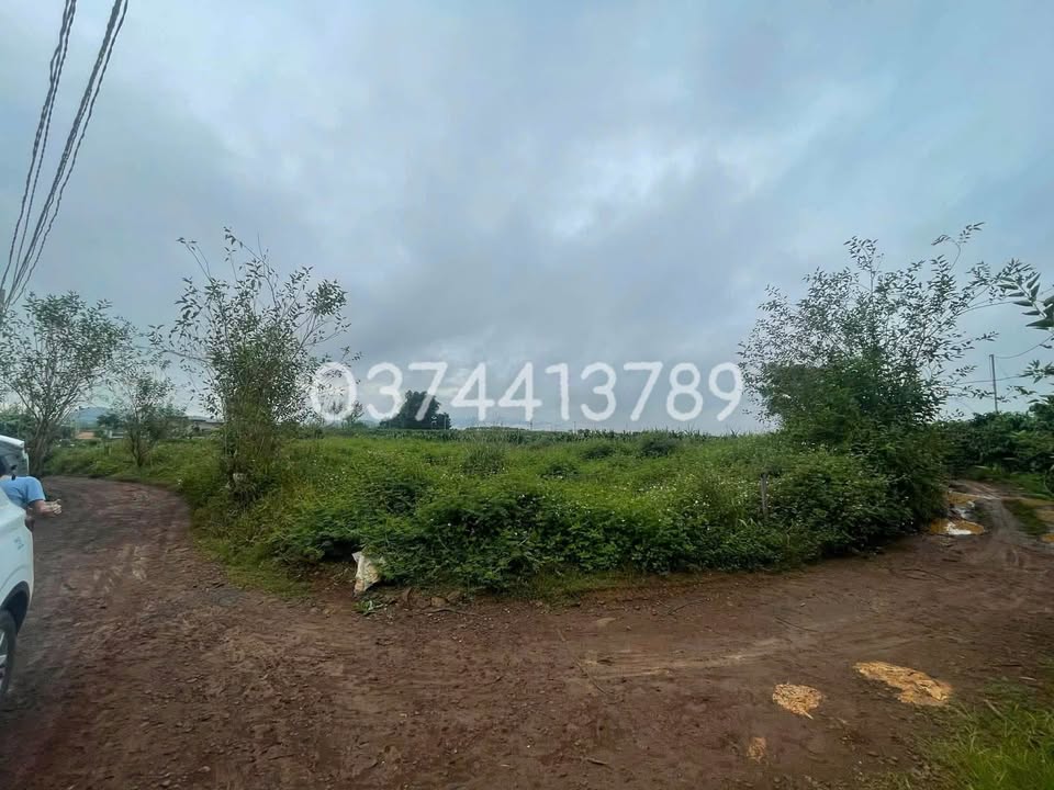 Đất thổ cư Tân Hội, Đức Trọng 126m² giá 399 triệu - Sổ hồng chính chủ!