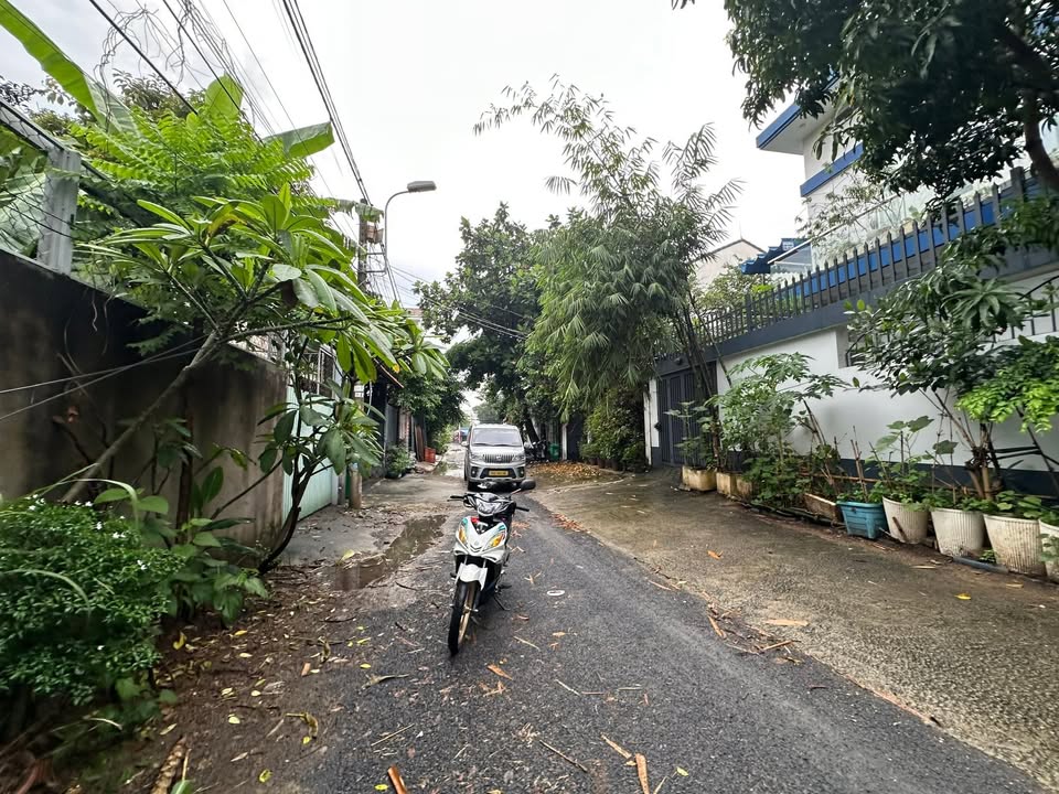 Đất sổ đỏ khu biệt thự Bình Dân, Thủ Đức 207m² giá 14.9 tỷ - Cơ hội đầu tư tuyệt vời!