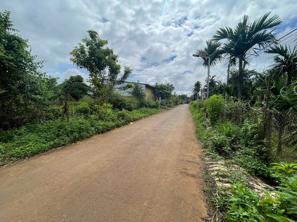 Đất 2 Mặt Tiền 250m² Tại Phường Tân Lập, Buôn Ma Thuột - Giá 2.83 Tỷ, Đầu Tư Lâu Dài!