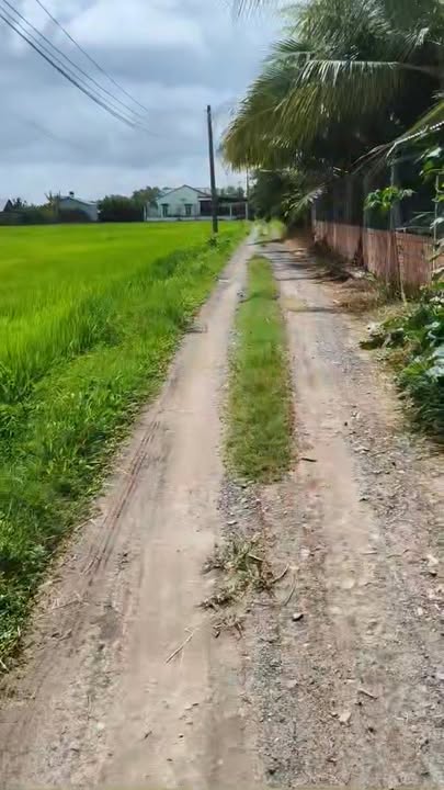 Đất thổ cư 110m² Hòa Khánh Đông giá 590 triệu - CHỦ BAO HẾT CHI PHÍ