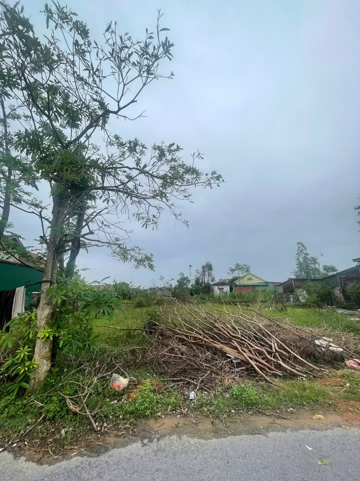 Đất nền Nghi Trung 174m² giá 1.6 tỷ - Giao thông thuận lợi