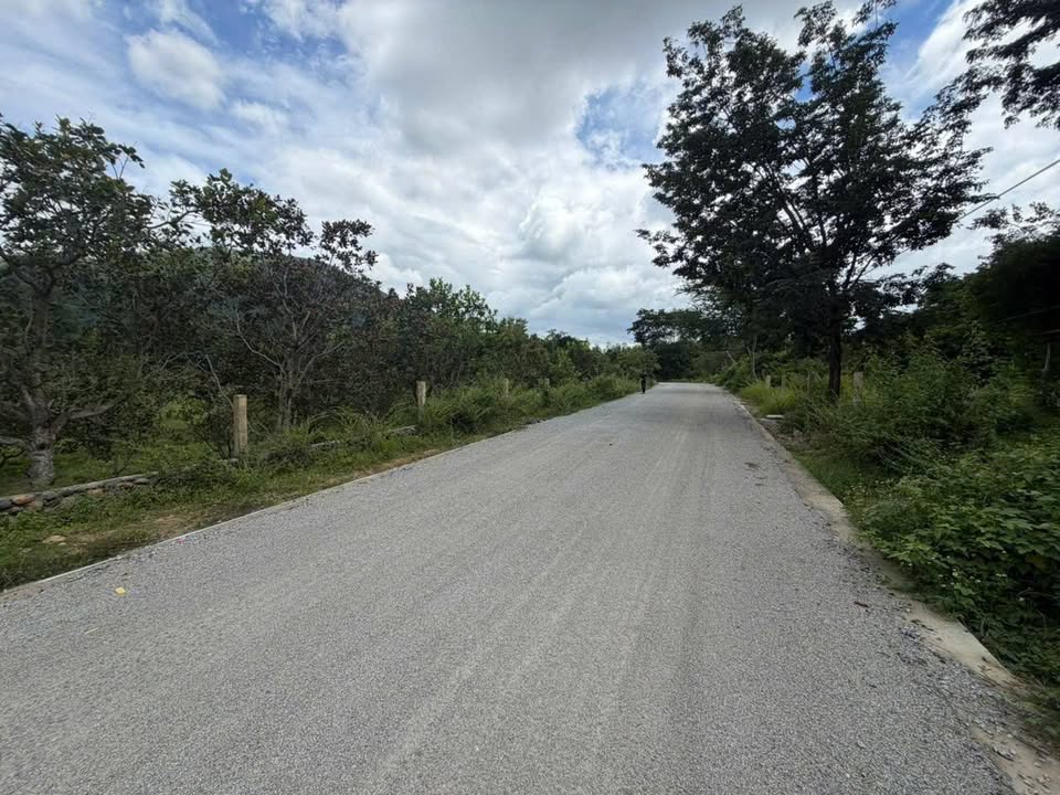 Đất HNK mặt tiền đường nhựa 11,000m² giá 2.189 tỷ - Tiềm năng phát triển lớn!