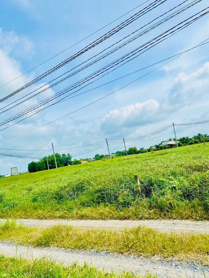 Đất thổ cư 125m² Hòa Khánh Đông - Sổ hồng riêng - Giá 650 triệu!