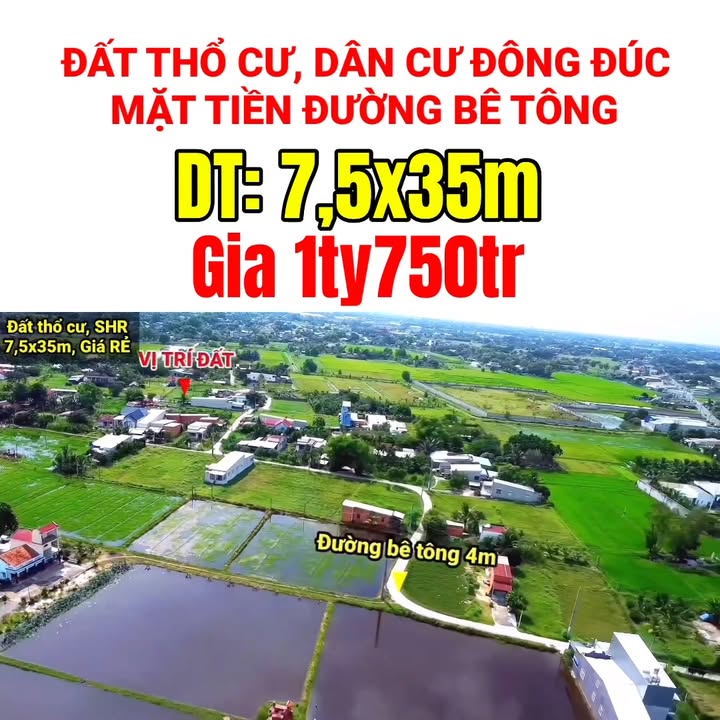 Lô đất thổ cư 262m² vị trí đẹp tại Đức Hòa - Giá chỉ 1.75 tỷ!