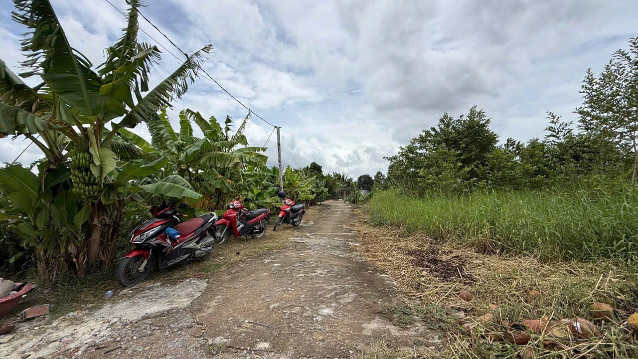 Đất thổ cư Cần Giuộc Long An 150m² giá 690 triệu - Bán gấp, giá tốt!