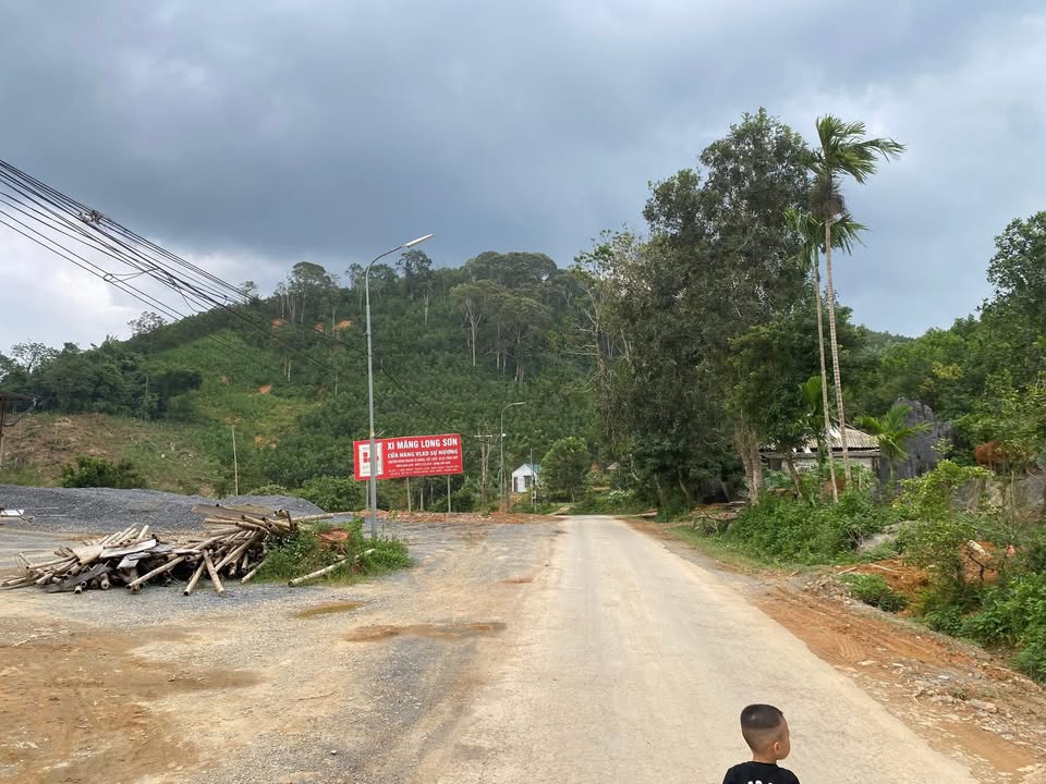 Đất thổ cư 1200m² tại Thanh Xuân, Như Xuân chỉ 700 triệu - Bán gấp!