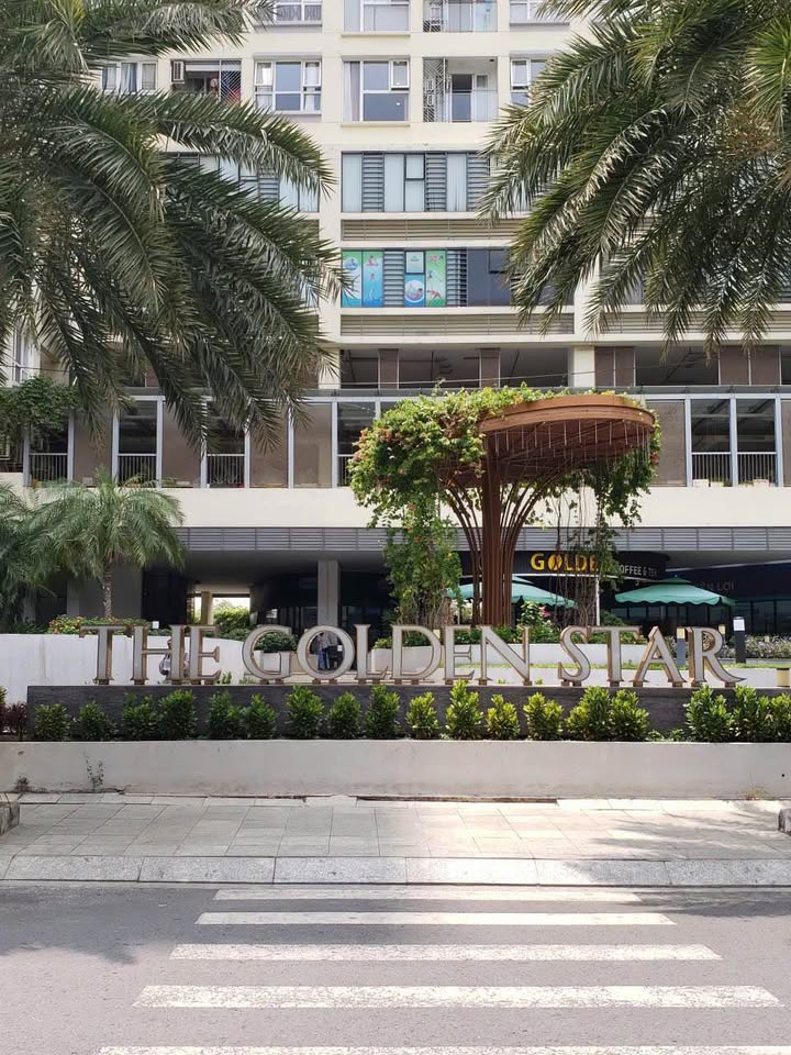 Căn hộ The Golden Star quận 7 2PN giá 11 triệu - Full nội thất, sẵn sàng vào ở!