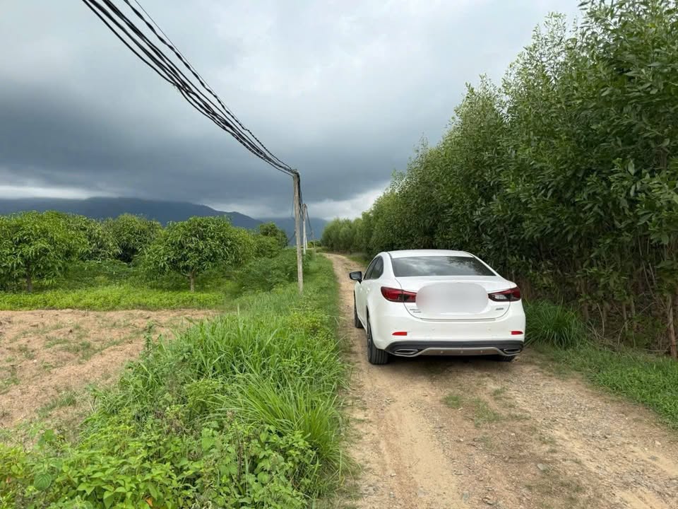 Đất nền 520m² xã Tân Định - Ninh Hòa chỉ 130 triệu - Sổ hồng chính chủ!