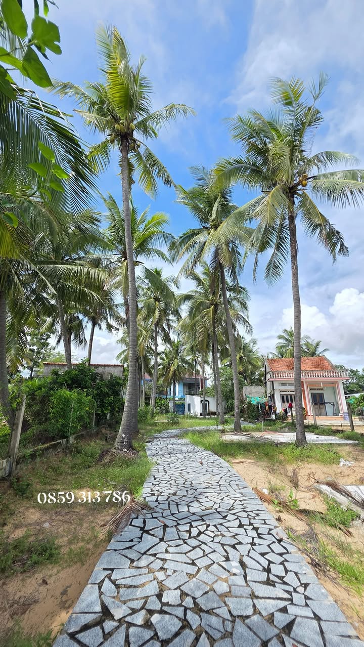 Đất mặt biển Tuy An, Phú Yên 500m² - Vị trí vàng cho Homestay và Du lịch biển đảo