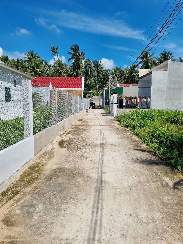 Đất nền Phú Hưng - Bến Tre 100m² giá 600 triệu - Đất ở sổ hồng chính chủ!