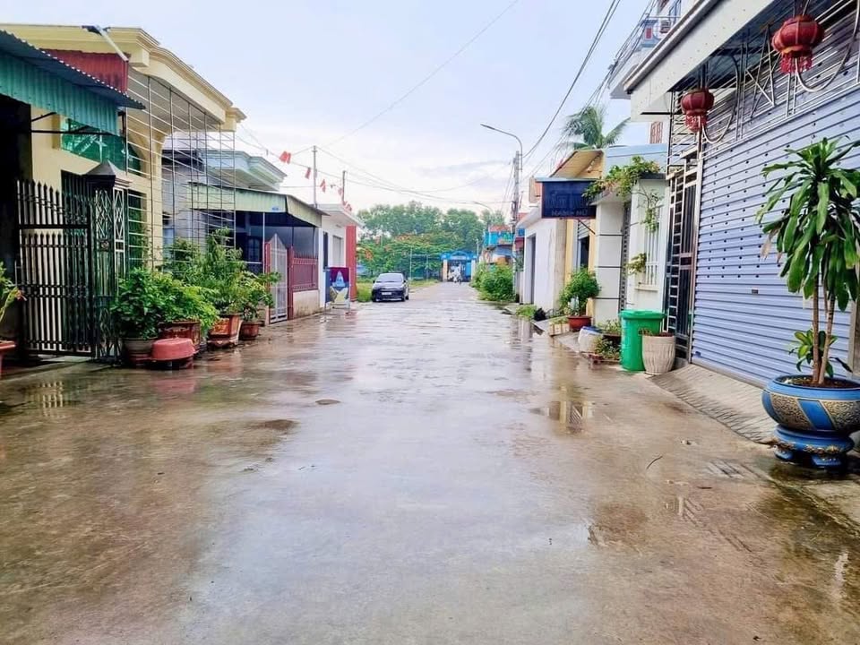 Đất nền Tiền Hải, Tân Liên, 118m² giá chỉ 1.83 tỷ - Đầu tư sinh lời ngay!