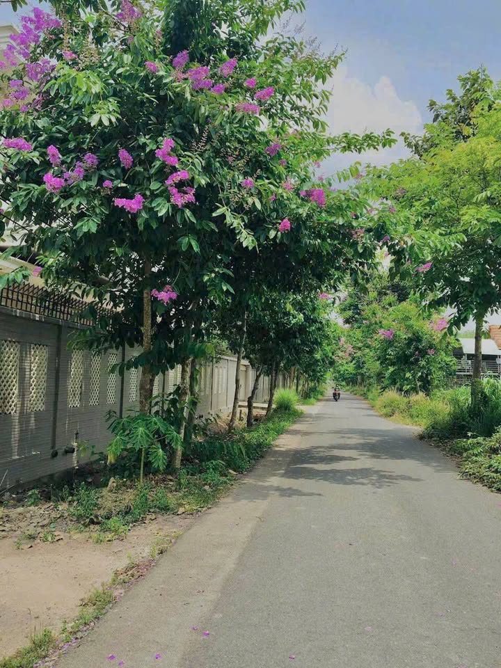 Đất nền Củ Chi 120m² giá 1.8 tỷ - Sổ đỏ chính chủ, xây dựng tự do!