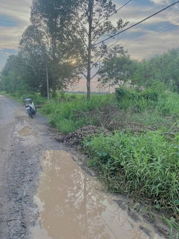 Đất nền Tân Thạnh Đông, Củ Chi 459m² giá 3.5 tỷ - Đất vuông vức, thổ cư 300m²!