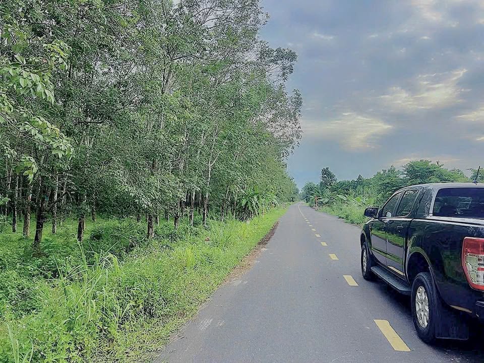 Đất nền Phạm Văn Cội, Củ Chi 240m² giá 2.3 tỷ - Đầu tư sinh lời ngay!