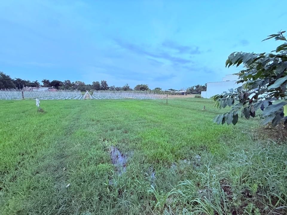 Lô đất mặt tiền Lê Minh Nhựt 500m² giá 5.5 tỷ - Cơ hội vàng đầu tư!