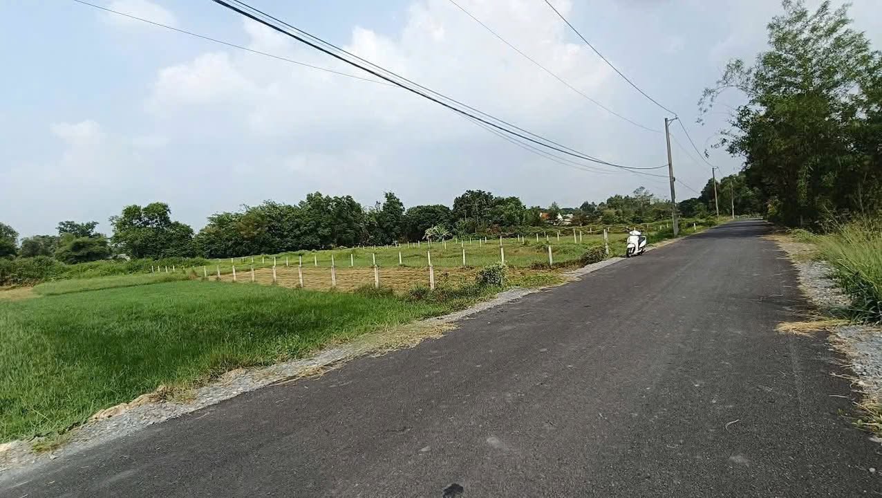 Đất nền mặt tiền đường Cây Gõ, xã An Phú, Củ Chi 564m² - Giá chỉ 2.5 tỷ, bớt nhẹ!