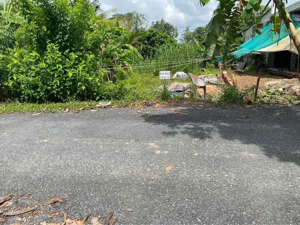 Đất nền xã Mỹ Hiệp, Đồng Tháp 144m² giá 700 triệu - Cơ hội đầu tư lý tưởng!