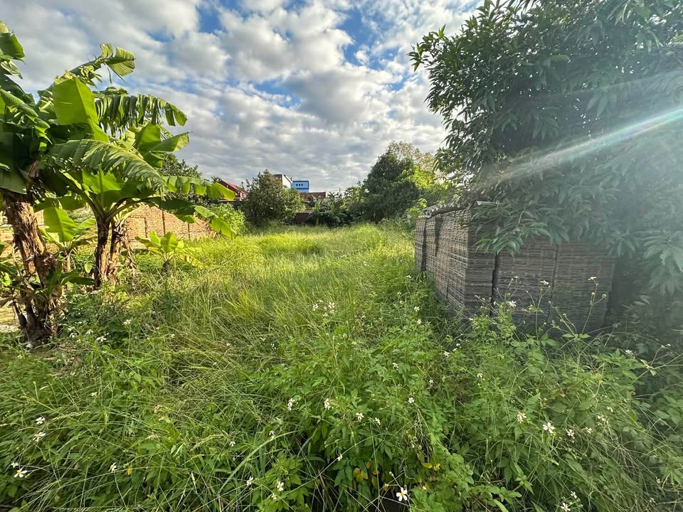 Đất nền Tân Hồng, Bình Giang 300m² giá 2 tỷ - Đường ô tô vào tận nơi!