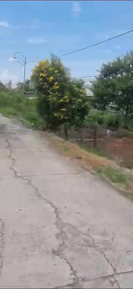 Nhà vườn nghỉ dưỡng Thạnh Tân, Tân Phước, Tiền Giang 16 công - Giá chỉ 5 tỷ!