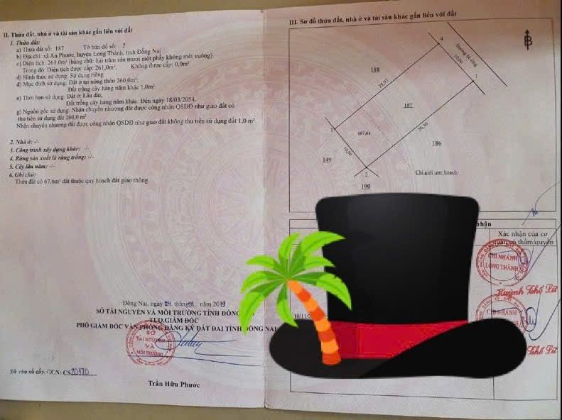 Đất nền An Phước, Long Thành 260m² giá 3 tỷ - Đầu tư sinh lời ngay!