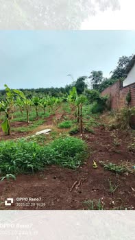 Đất nền Tam Long, Bà Rịa - Vũng Tàu 4.337m² giá 7.2 tỷ - Sổ đỏ chính chủ