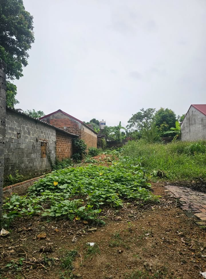 Đất thổ cư 160m² tại Phú Cát, Quốc Oai - Giá chỉ 1 tỷ, cơ hội đầu tư tuyệt vời!