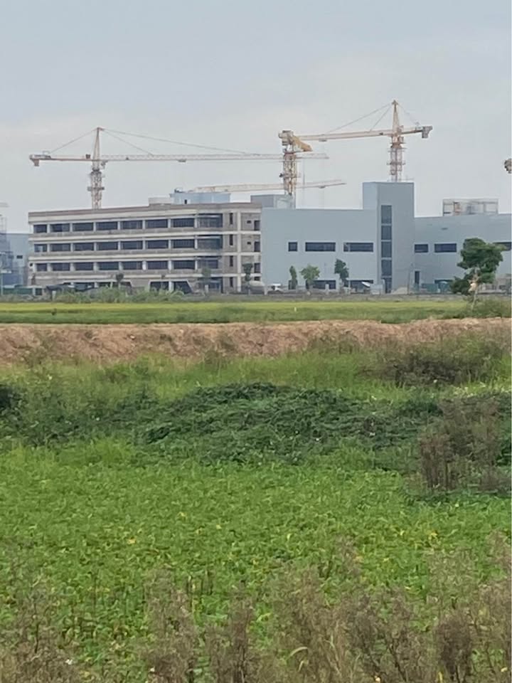 Đất An Bình - Thuận Thành 75m² giá chỉ nhỉnh 2 tỷ - Đầu tư sinh lời cao!