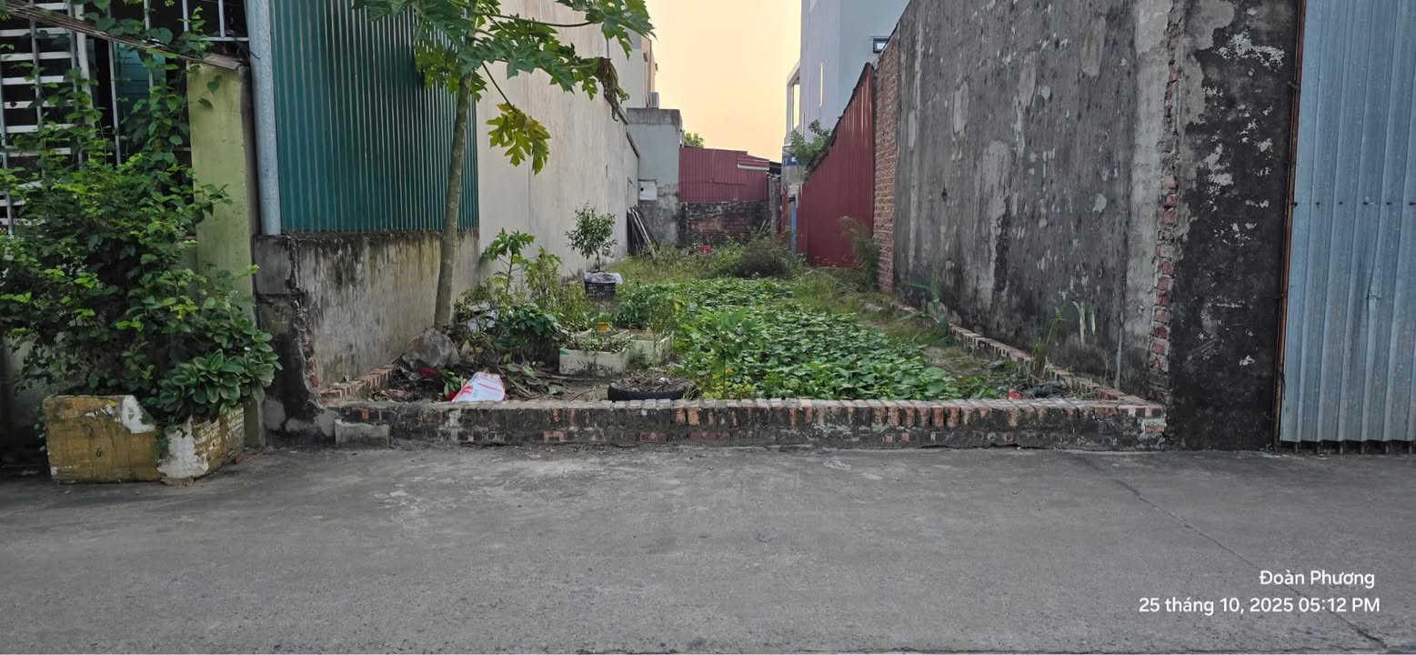 Đất nền Tổ 9 Quang Minh 51m² giá 2.6 tỷ - Cơ hội đầu tư lý tưởng!