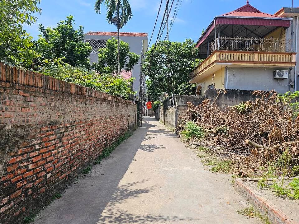 Đất Tô Khê, Gia Lâm 52.5m² giá 3.55 tỷ - Sổ đỏ chính chủ, vị trí đẹp!