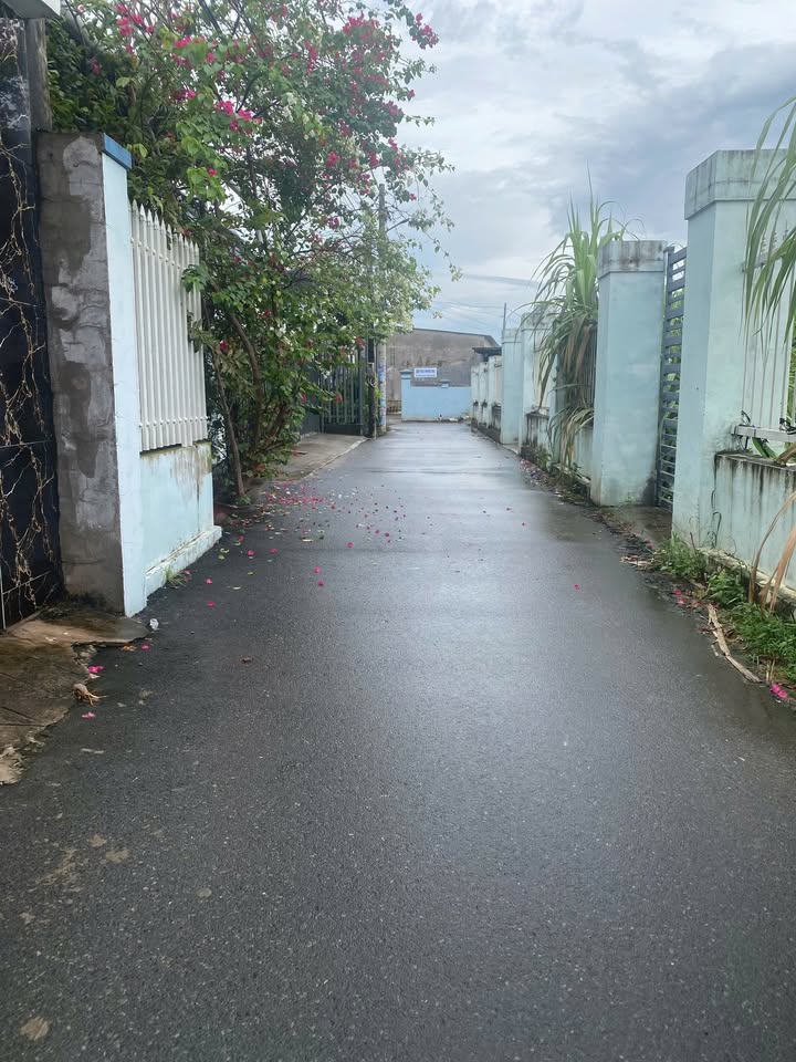 Nhà cấp 4 đường số 2, phường Tam Long, Bà Rịa - 180m² chỉ 2.2 tỷ - Ô tô vào tận nơi!