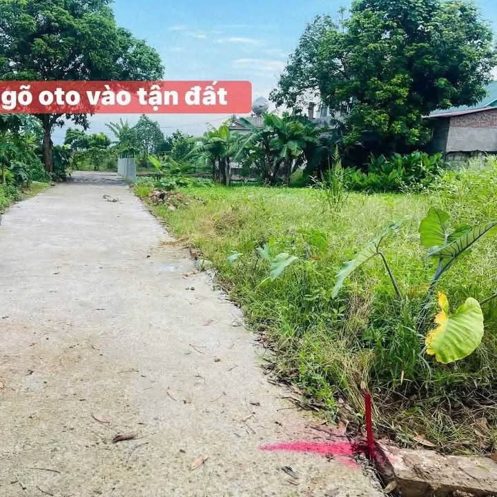 Đất liền kề Duyên Hải Hưng Hà 108m² giá 5 triệu/m² - Cơ hội đầu tư sinh lời!